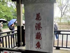 -西湖游船