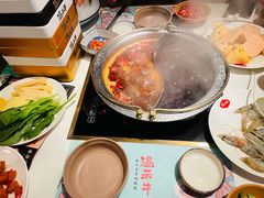 -温禾牛·和牛寿喜烧自助火锅(恒基名人店)