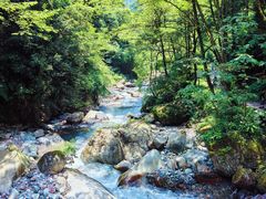 -西岭雪山大飞水景区