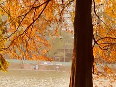 -肥妹烧腊店(洪湖店)