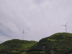 -东白山