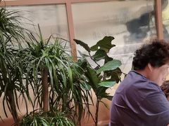 -桂满陇·手作小笼包&江南叫花鸡(中山公园店)