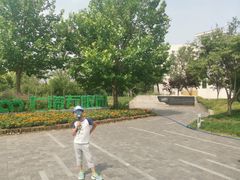 -武清南湖绿博园