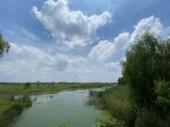 -同里国家湿地公园
