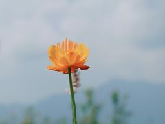-灵山