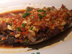 -费大厨辣椒炒肉(新城吾悦广场店)