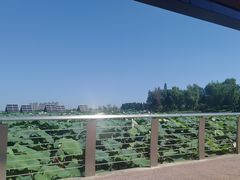 -滆湖低碳生态公园