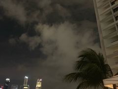 -新加坡文华东方酒店