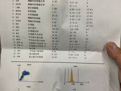 -爱侣宠医·鹦鹉专科·小型哺乳类·异宠专科(灵石路店)