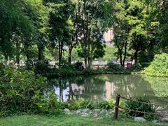 -成都市活水公园