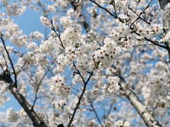 -龙美术馆西岸馆-停车场