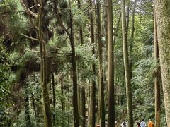 -青城山