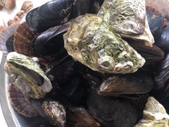 -宾朋海鲜特色美食餐厅·纯手工鲅鱼水饺(兴海路店)