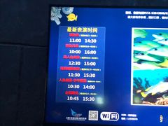 -合肥海洋世界