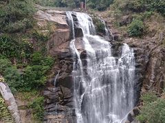 -海南热带雨林国家公园吊罗山景区