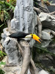 -Zoolung Zoolung动物主题公园(海信广场店)