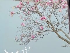 -耦园