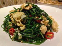 -天山醉美辣子鸡(文艺路店)