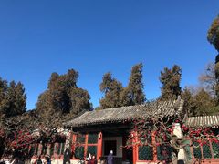 -颐和园