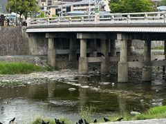 -こま井亭