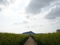 -光明小镇欢乐田园