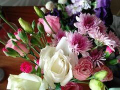 -滇越乘象云南餐厅(次渠店)