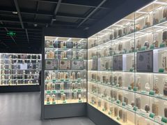 -广东中医药博物馆
