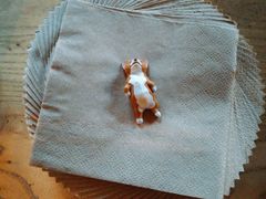 餐具摆设-VOYAGE COFFEE(北锣鼓巷店)