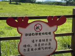 -良渚古城遗址公园