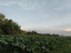 -青龙山国家森林公园