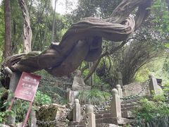 -严子陵钓台(富春江小三峡)