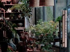 -自由生长植物工作室(深港花卉中心店)