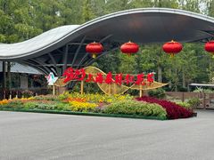 -东平国家森林公园