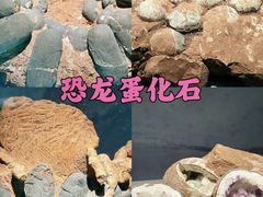-厦门科技馆