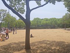 -尚贤河湿地