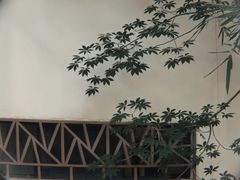 -厦门园林博览苑