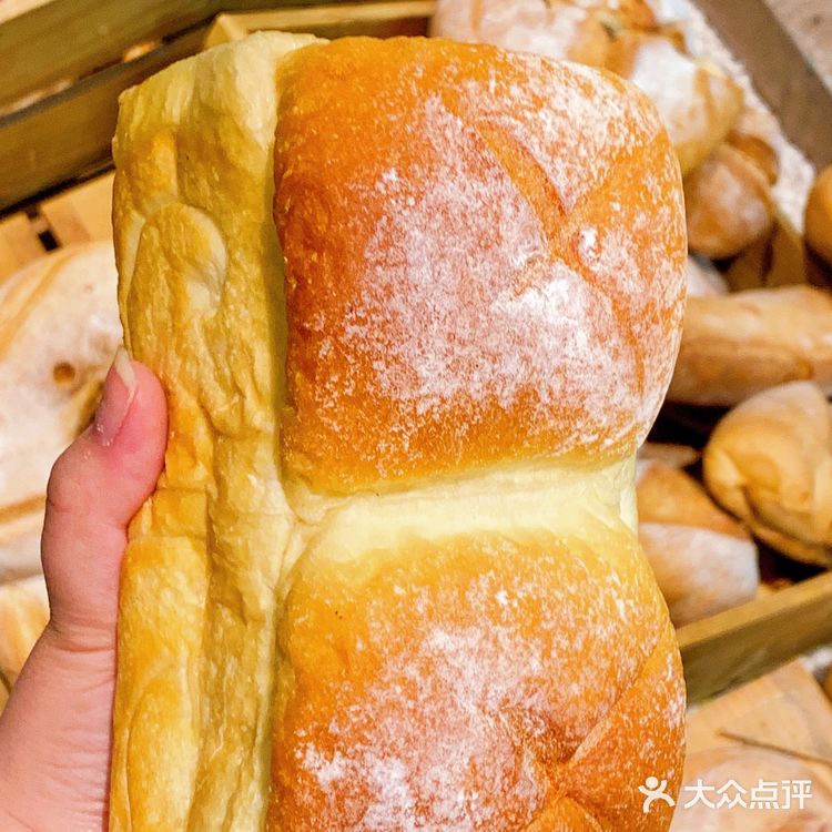 深圳美食🐾宝藏面包🥐喜荟萃㊙️点单攻略‼️