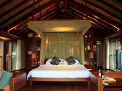 老鹰01-三亚亚龙湾人间天堂鸟巢度假村