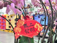 -山姆会员商店(亦庄创意生活广场店)