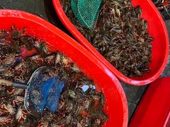 -老北京涮羊肉·龙虾.烧烤(江镇店)