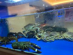 -骏丰酒楼(黄编店)