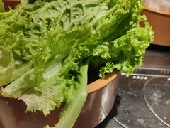 生菜-龍歌自助小火锅(城阳万象汇店)