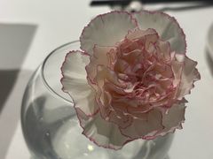 -眉州东坡(清河万象汇店)