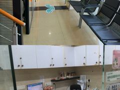 -瑞派天使宠物医院·神经外科·骨科·核磁CT(洛川中路店)