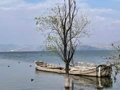 -洱海月湿地公园
