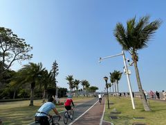 -野狸岛