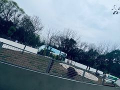 -合肥野生动物园