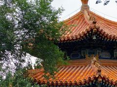 -北京艺术博物馆(万寿寺)