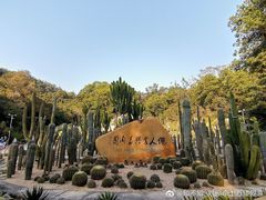 -深圳仙湖植物园