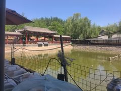 -尚庄度假村·庭台树下·户外烧烤·团建CS·轰趴营地(上庄水库店)